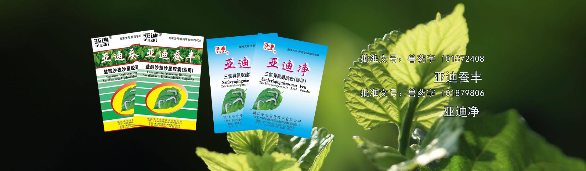 醫療技術