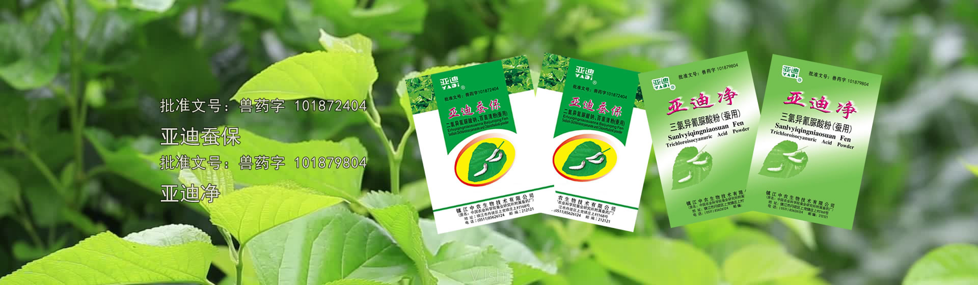 核孔膜技術