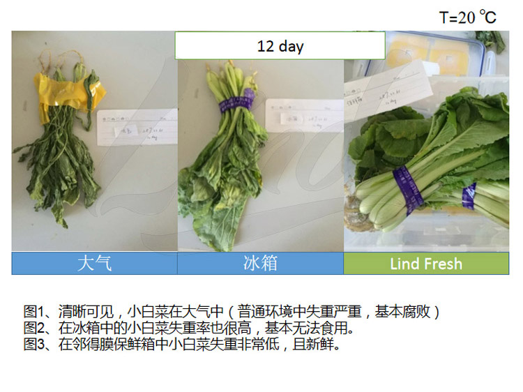 鄰得膜生鮮果蔬自發氣調保鮮包裝技術詳情換成這個_02.jpg