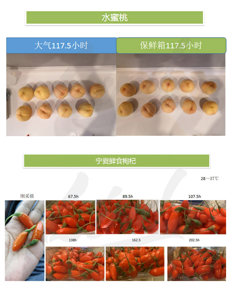 鄰得膜生鮮果蔬自發氣調保鮮包裝技術詳情換成這個_04.jpg